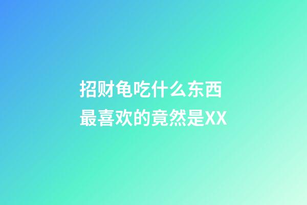 招财龟吃什么东西 最喜欢的竟然是XX